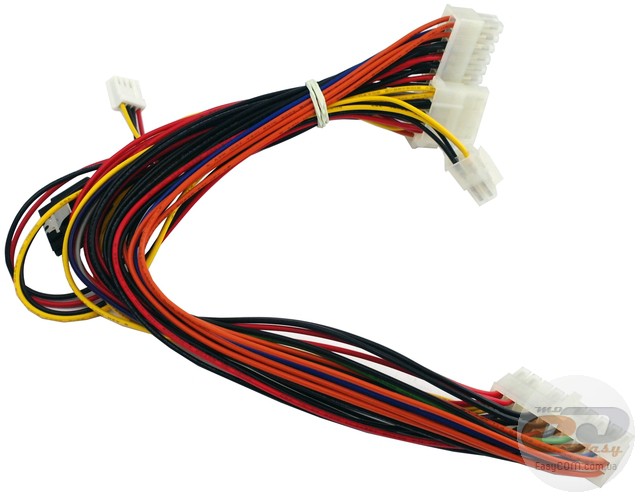 Morex 2766, 2733, 2777