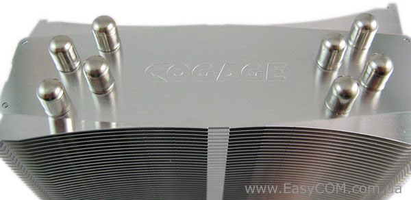 COGAGE TRUE Spirit-1366