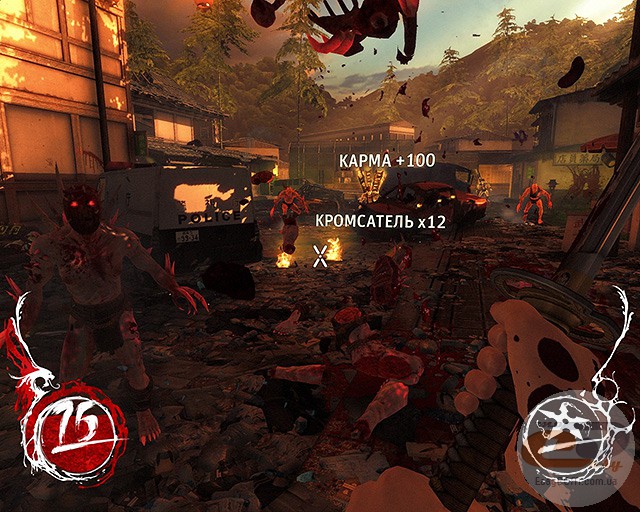 Shadow Warrior
