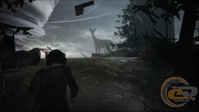 Life is Strange