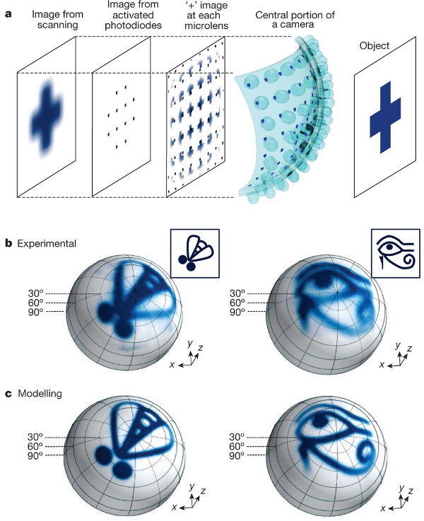 compound eye digital camera