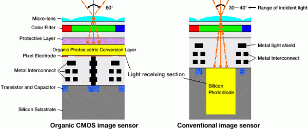 Organic CMOS sensor
