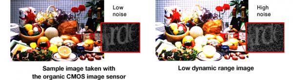 Organic CMOS sensor