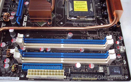 ASUS Striker