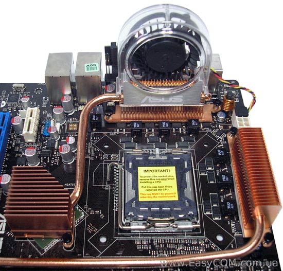 ASUS Striker