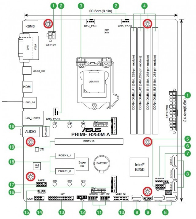 ASUS PRIME B250M-A