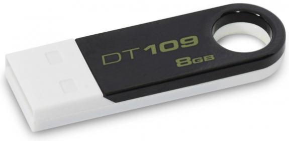 Kingston DataTraveler 109 