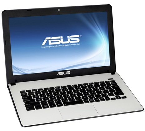 ASUS X301A