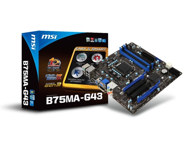 MSI B75MA-G43 