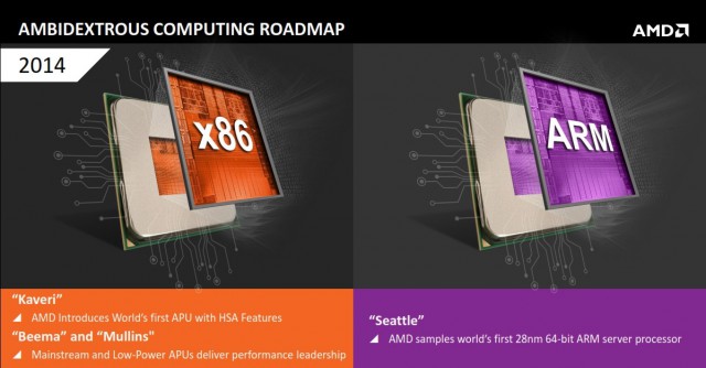AMD Ambidextrous Computing