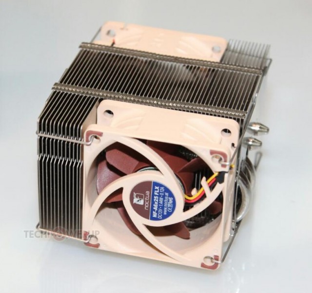 Noctua