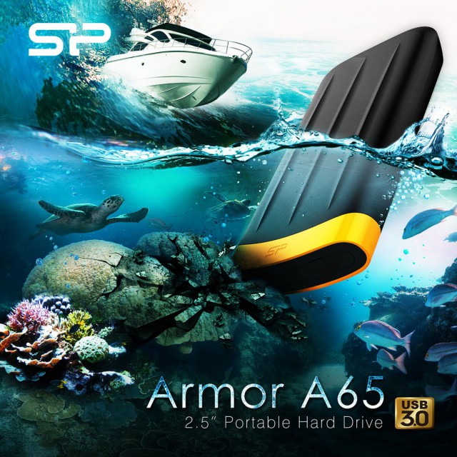 Silicon Power Armor A65