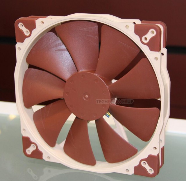 Noctua