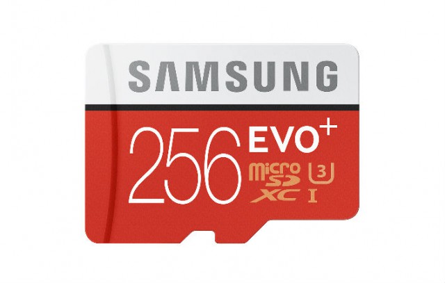 Samsung EVO Plus 256GB