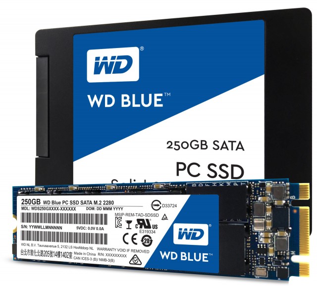 WD Blue SSD