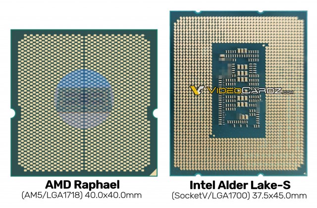 AMD Raphael