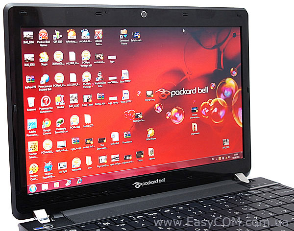 Packard Bell Dot U R-299