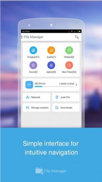 File Manager (Explorer)