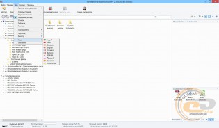 Hetman Partition Recovery