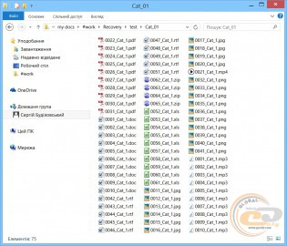 Hetman Partition Recovery