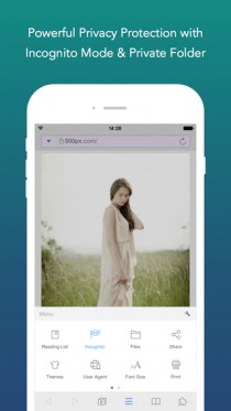 Mercury Web Browser Pro