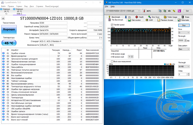 Seagate IronWolf (ST10000VN0004)