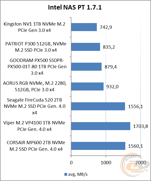 Kingston NV1